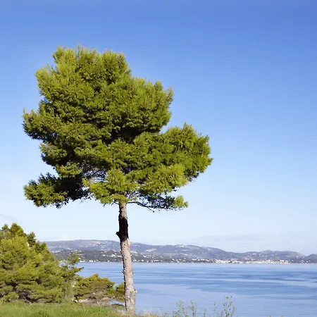 Thalassa Boutique - Adults Only Hotel Argostoli (Kefalonia)