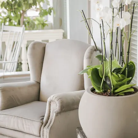 Thalassa Boutique - Adults Only 4*