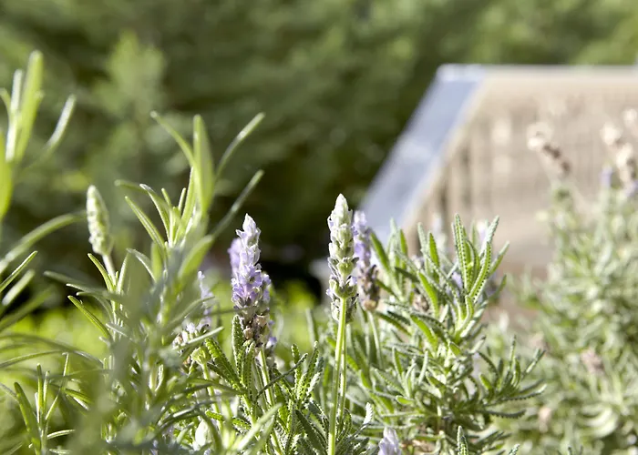 Ξενοδοχείο Thalassa Boutique - Adults Only Αργοστόλι