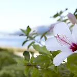 Thalassa Boutique - Adults Only Argostoli (Kefalonia)