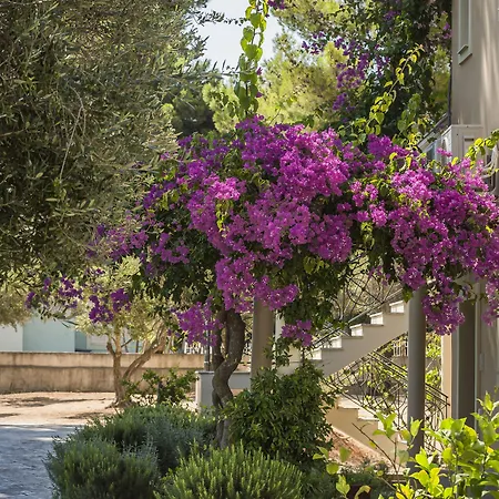 Thalassa Boutique - Adults Only מלון